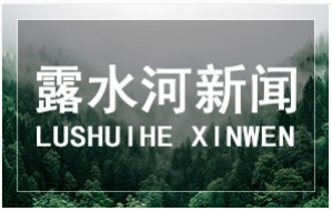 1718449095829202